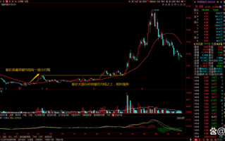 002145股票走势分析_中核钛白还能买吗