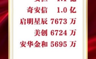 启明星辰股票怎么样_启明星辰值得长期持有吗