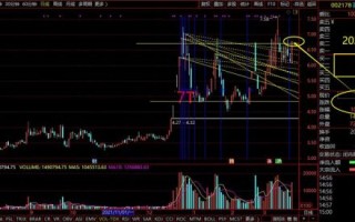 002178股票行情_延华智能未来走势