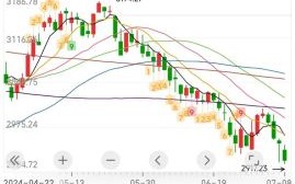 002615股票行情_还能买吗