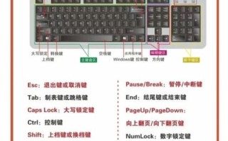 怎么样学电脑_初学者如何快速上手电脑