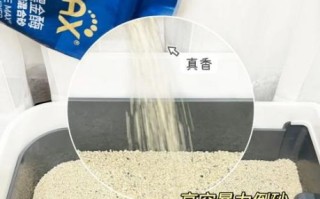 猫砂多久换一次_豆腐猫砂真的好用吗