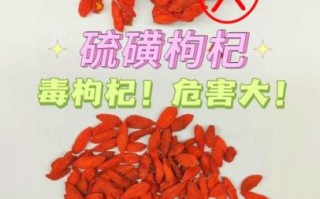 枸杞多少钱一斤_枸杞怎么挑选