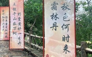 北京红叶什么时候最红_最佳观赏地点在哪