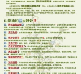 茶油多少钱一斤_茶油的功效与作用