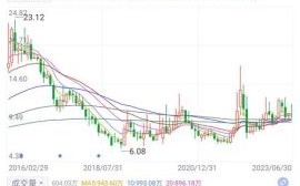 证通电子股票怎么样_未来走势分析