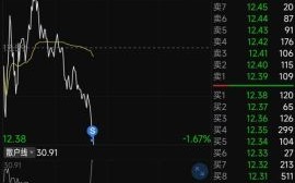 佳力图股票股吧最新消息_佳力图股票还能买吗