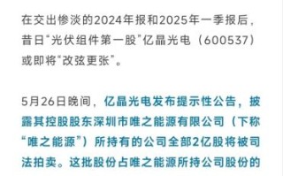 亿晶光电股票怎么样_亿晶光电未来走势分析