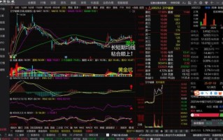 卫宁健康股票怎么样_卫宁健康股票值得长期持有吗