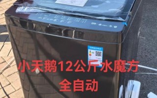 小天鹅洗衣机质量怎么样_小天鹅洗衣机哪款好用