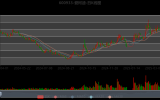 爱柯迪股票值得长期持有吗_爱柯迪未来三年估值预测