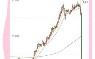 中升集团股票怎么样_值得长期持有吗