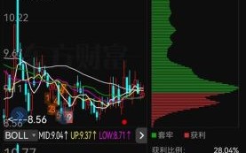 600338股票怎么样_值得长期持有吗