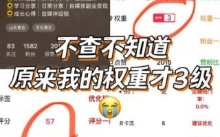 如何提升网站权重_网站权重下降怎么恢复