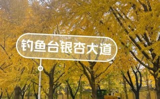 北京钓鱼台门票多少钱_北京钓鱼台预约攻略