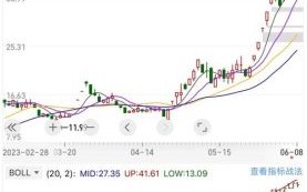 鸿博股票值得投资吗_鸿博股票未来走势如何