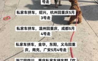 怎么样拼车_拼车安全吗