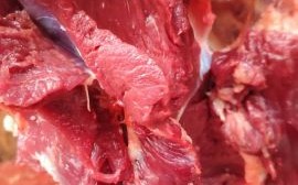 驴肉多少钱一斤_驴肉哪里买最正宗