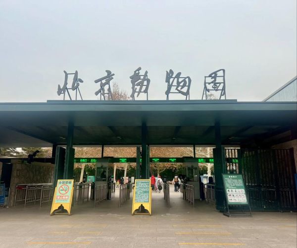 北京动物园多久能逛完_需要多长时间-第1张图片-俊逸知识馆