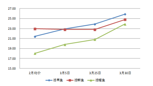 淡水鱼价格走势_如何挑选新鲜淡水鱼-第1张图片-俊逸知识馆