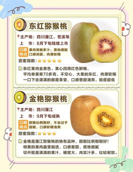 猕猴桃什么时候吃最好_猕猴桃怎么挑选才甜-第1张图片-俊逸知识馆