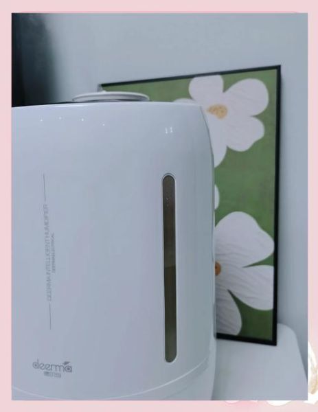 德尔玛加湿器怎么样_德尔玛加湿器好用吗-第3张图片-俊逸知识馆