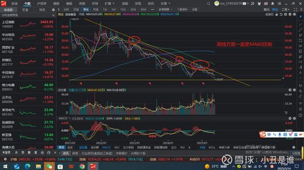 洽洽食品股票值得买吗_洽洽食品股票未来走势-第3张图片-俊逸知识馆