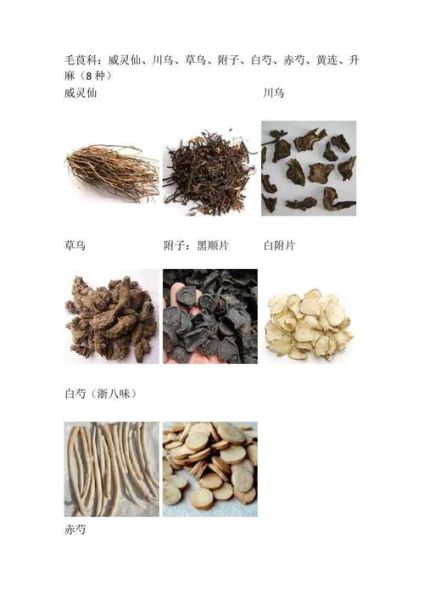 中药饮片价格为什么差距大_如何辨别真假中药材-第1张图片-俊逸知识馆