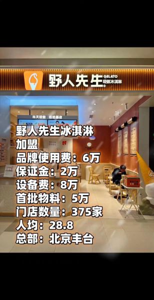 冰淇淋加盟哪个品牌好_冰淇淋店投资多少钱-第3张图片-俊逸知识馆