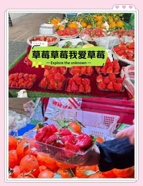 草莓价格为什么波动大_草莓批发哪里最便宜-第1张图片-俊逸知识馆