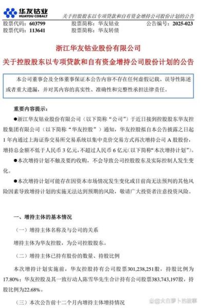 华友钴业股票值得长期持有吗_华友钴业股票未来走势如何-第2张图片-俊逸知识馆