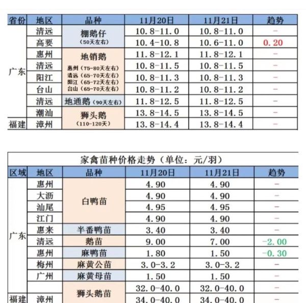 鹅市场价格多少钱一斤_鹅苗批发哪里便宜-第3张图片-俊逸知识馆