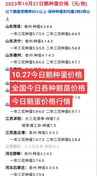 鹅市场价格多少钱一斤_鹅苗批发哪里便宜-第2张图片-俊逸知识馆