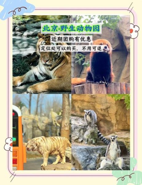 北京有几个动物园_北京动物园哪个最好玩-第1张图片-俊逸知识馆