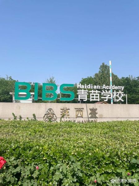 北京青苗国际双语学校学费_北京青苗国际双语学校怎么样-第3张图片-俊逸知识馆