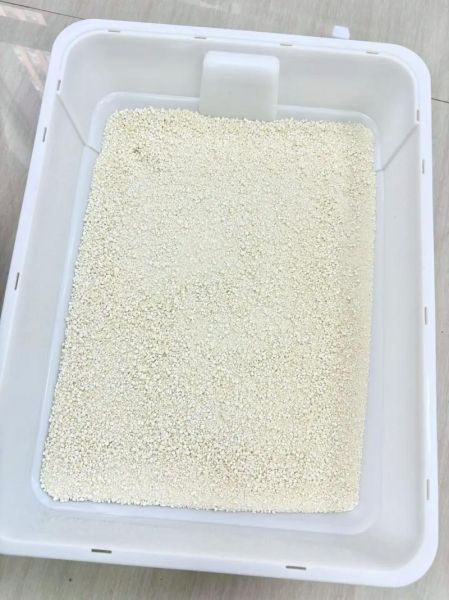 猫砂多久换一次_豆腐猫砂真的好用吗-第2张图片-俊逸知识馆