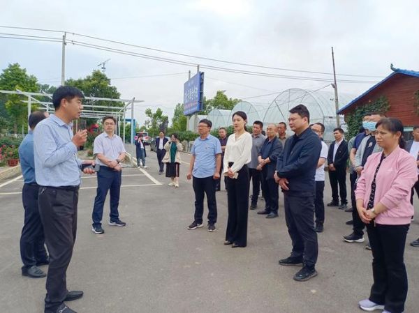 金键米业股票怎么样_金键米业股票值得买吗-第2张图片-俊逸知识馆