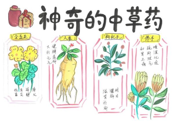 中草药价格走势_如何辨别真假药材-第2张图片-俊逸知识馆
