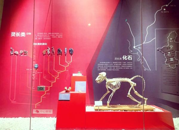 北京古生物博物馆门票价格_开放时间-第2张图片-俊逸知识馆 北京古生物博物馆门票价格_开放时间-第2张图片-俊逸知识馆