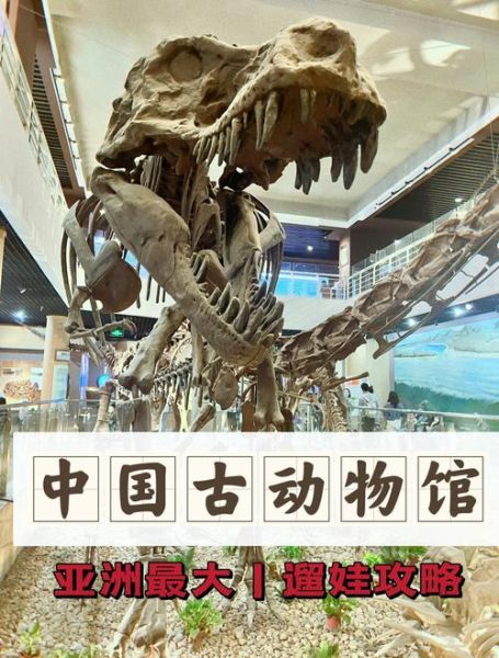 北京古生物博物馆门票价格_开放时间-第1张图片-俊逸知识馆 北京古生物博物馆门票价格_开放时间-第1张图片-俊逸知识馆