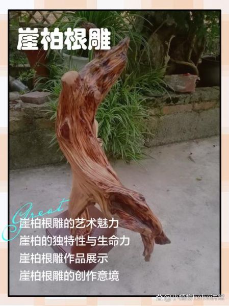 根雕价格一般多少钱_根雕怎么保养不开裂-第3张图片-俊逸知识馆