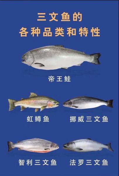 三文鱼多少钱一斤_如何挑选新鲜三文鱼-第2张图片-俊逸知识馆