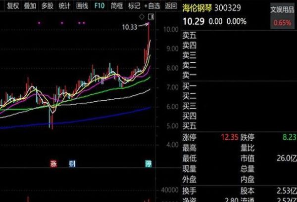 海伦钢琴股票值得买吗_海伦钢琴股票未来走势-第2张图片-俊逸知识馆