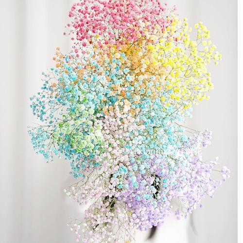 干花怎么做才能保持颜色_干花市场有哪些热门品种-第3张图片-俊逸知识馆