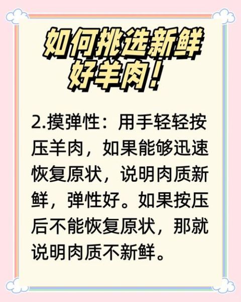羊肉价格为什么波动这么大_如何挑选新鲜羊肉-第1张图片-俊逸知识馆