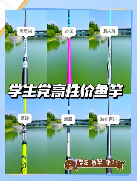 什么牌子鱼竿性价比高_新手怎么选渔具-第3张图片-俊逸知识馆 什么牌子鱼竿性价比高_新手怎么选渔具-第3张图片-俊逸知识馆