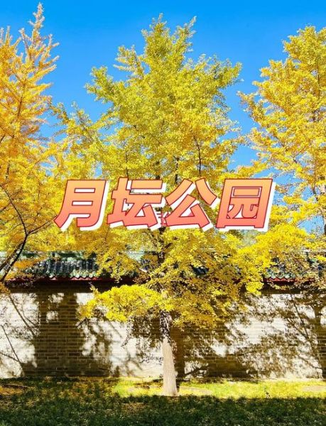 北京月坛公园门票价格_开放时间-第2张图片-俊逸知识馆