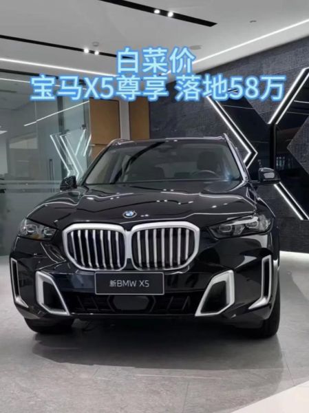 x5怎么样值得买吗_x5优缺点全面解析-第2张图片-俊逸知识馆