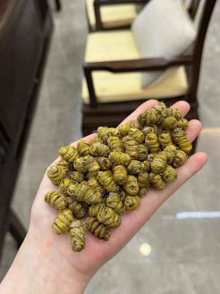 石斛价格多少钱一斤_石斛怎么吃效果最好-第1张图片-俊逸知识馆 石斛价格多少钱一斤_石斛怎么吃效果最好-第1张图片-俊逸知识馆