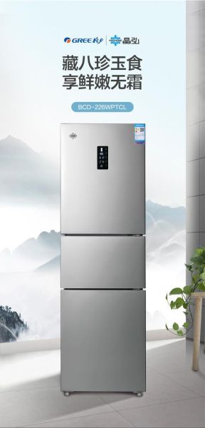 晶弘冰箱质量怎么样_晶弘冰箱值得买吗-第3张图片-俊逸知识馆